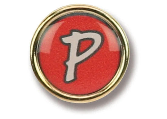 Pin |  Round  | 20 mm | Metal frame | Gold satin