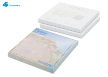 Adhesive Notes | Bangkok | 25 sheets