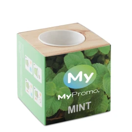 Herb pot | Wood | Printable box | Mint