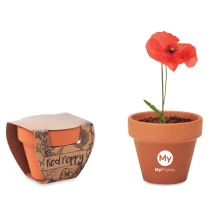 Klaproos | Terracotta pot | 6x5,5x5cm | Gemaakt in EU