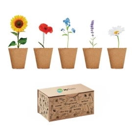 Kit per la coltivazione dei fiori | 5 tipi di fiori | Made in EU