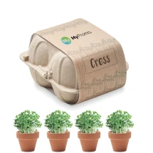 Growing kit | Incl. 4 clay terracotta pots and seeds | In an egg carton tray | Made in EU
