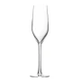 Champagne glass | Glass | 160ml | Made in France
