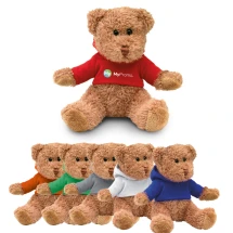 Teddybeer pluche | PET | Met hoodie | Sublimatie alleen op wit artikel
