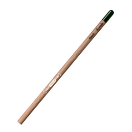 Crayon à planter BIC Sprout | Bois durable | Choisissez parmi 8 graines différentes