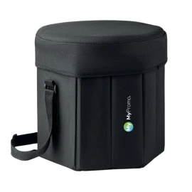 Cooler bag in polyester | Insulated with aluminum foil | 28,5 x 28 x 28 cm