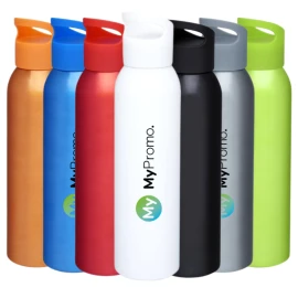 Water bottle | Aluminium | 650 ml | Screw cap | Many colors
