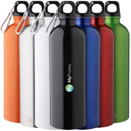 Wasserflasche | Recycelter Edelstahl & PP | 750ml | Mit Aluminium-Karabiner | Nachhaltig