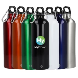 Water bottle I Recycled stainless steel | 750ml I Carabiner | Includes gift box