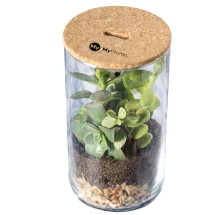 Terrarium kit | Borosilicate glass & cork | Incl. Cactus seeds