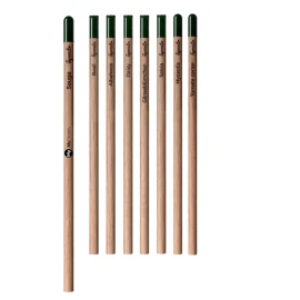 Sprout-Bleistift | Nachhaltiges Holz | Wähle zwischen 8 verschiedenen Samen