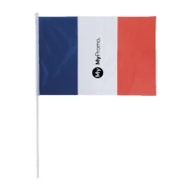 Drapeau français | Polyester & plastique | Manche de 60cm