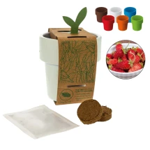 Bloempot met aardbeizaden | Herbruikbaar | Gemaakt in Duitsland