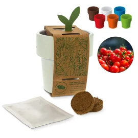 Vaso da fiori con semi di pomodoro ciliegino | Riutilizzabile | Made in Germany