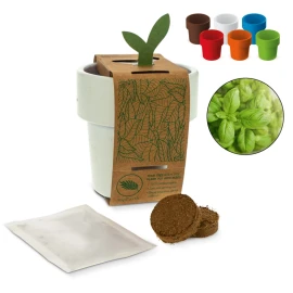 Vaso da fiori con semi di basilico | Riutilizzabile | Made in Germany
