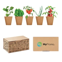 Salade kweekset | 5 verschillende zaden | Made in EU