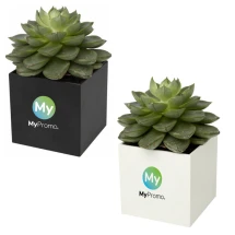 Planted pot | Aluminium | Cactus | Made in Europe