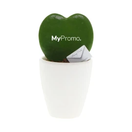 Hartplant | Gemakkelijk onderhoud | Print op de plant | Gemaakt in Nederland