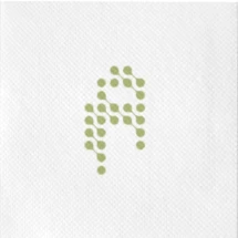 Grande serviette en papier | 40x40 cm