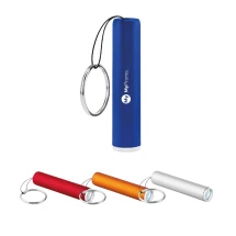 Taschenlampe | ABS | Mit Schlüsselanhänger | Leuchtendes Logo | Inklusive Batterien