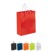Medium size bag | Paper 120g/m² | 24x10x30cm | Matt paper | Can carry up to 2kg | FSC certified