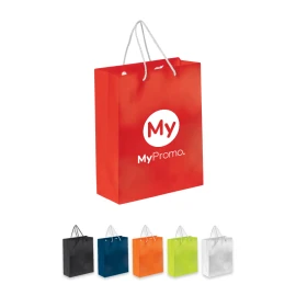 Medium size bag | Paper 120g/m² | 24x10x30cm | Matt paper | Can carry up to 2kg | FSC certified