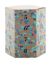 Adventskalender | Karton | Zeshoekig | Om in te vullen | Full colour