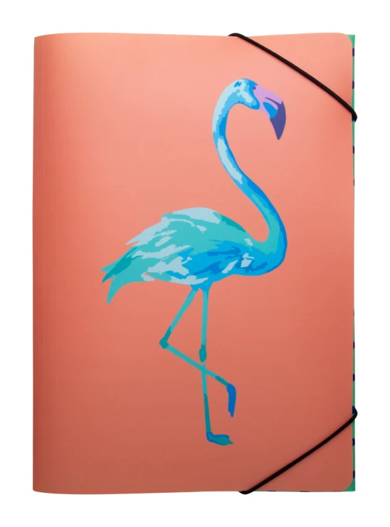 Document folder | Plastic | Rubber strap closure | White