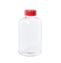 Borraccia | Vetro | Tappo e coperchio colorati | 600 ml | Diversi colori