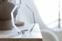 Trophy | Glass | Full color