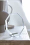 Trophy | Glass | Full color