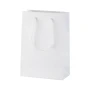 Shopping bag | Paper & PP handles | Custom made | MOQ: 500 pcs