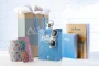 Shopping bag | Paper & PP handles | Custom made | MOQ: 500 pcs