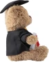Graduation plush bear | Polyester | 13x13x20 cm