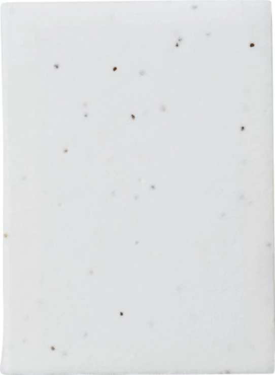 Plaknotities | Zaadpapier | Zes kleuren | Milieuvriendelijk | wit