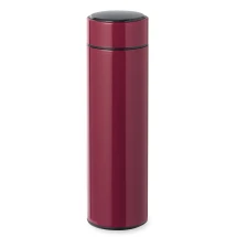 Bouteille thermos | Acier inoxydable | 450 ml | Affichage de la température | Infuseur