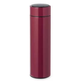 Thermos bottle | Stainless steel | 450 ml | Temperature display | Infuser