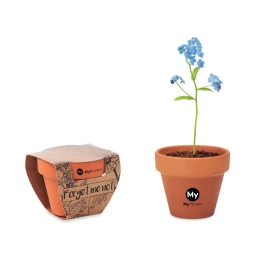 Forget me not | Terracotta pot | Made in EU