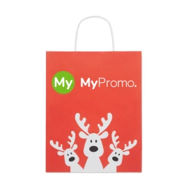 Gift paper bag | 50% recycled paper | Medium size | Made in Europe