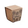 Zonnebloemkit | Karton | 4,3x4,3x4,5 cm | Biologisch afbreekbaar | Gemaakt in Europa