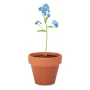 Forget me not | Terracotta pot | Made in EU