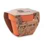 Forget me not | Terracotta pot | Made in EU