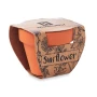 Sunflower | Terracotta pot | Made in EU