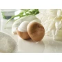 Lip balm ball | ABS and bee wax | Vanilla taste | Bamboo case