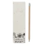Bleistift mit Radiergummi | Naturholz | In Samentasche aus Papier