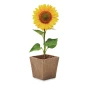 Kit de girasol | Cartón | 4,3x4,3x4,5 cm | Biodegradable | Hecho en Europa