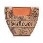 Sunflower | Terracotta pot | Made in EU