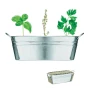 Plant tub | Metal | 3 herbs | Incl. garden compost | Made in EU