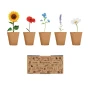 Kit de culture de fleurs | 5 types de fleurs | Fabriqué en UE