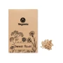 Summer flowers mixed seeds | In craft envelope | Made in EU